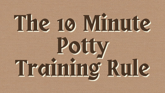  1T0 Minute Potty Training Rule